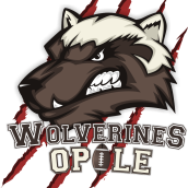 wolverines logo